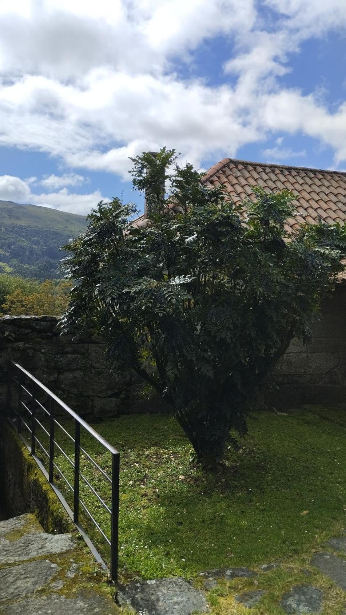 Rectoral De Prado Guest House Pineiro  Exterior photo